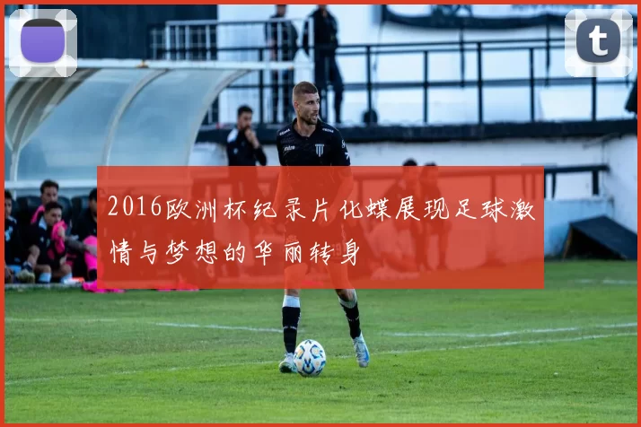 2016欧洲杯纪录片化蝶展现足球激情与梦想的华丽转身